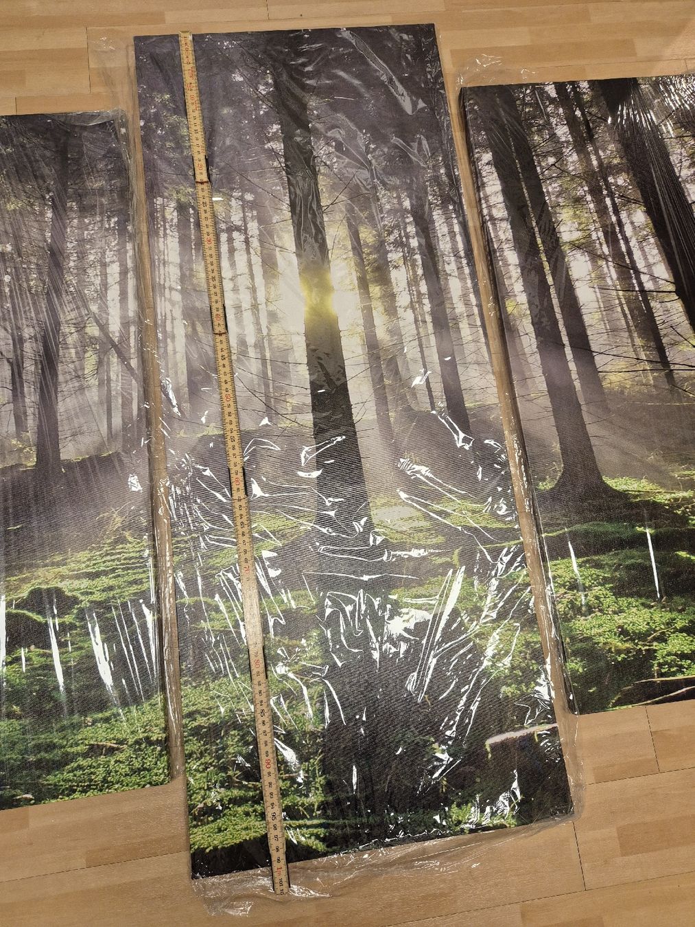 Gemälde: Leinwandbild "Wald" – Neu und originalverpackt aus Embrach von TMCHZ 3