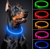 Halsband Hunde leuchtend für alle Grössen zuschneidbar! ✂️🔦