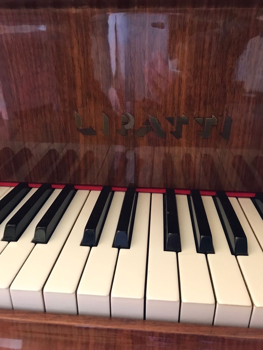 Strumenti musicali: Lipatti Flügel, braun – Usato da Solothurn venduto da Bobesch08 2