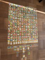 Panini Set mit 252 Bilder