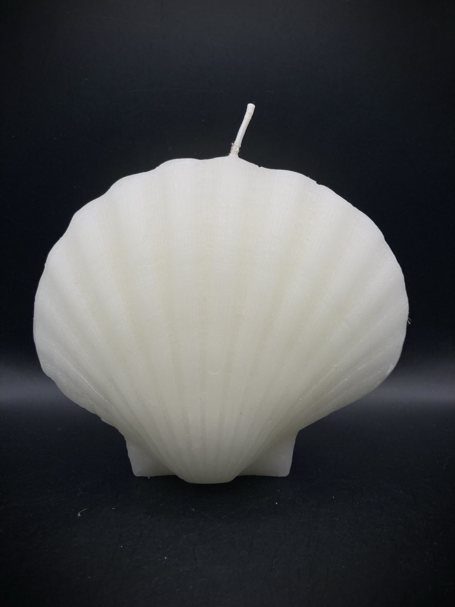 Candele: Kerze Muschel Form weiss, neu – Nuovo (secondo la descrizione) da Vinelz venduto da Viewfinder84