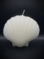 Kerze Muschel Form weiss, neu