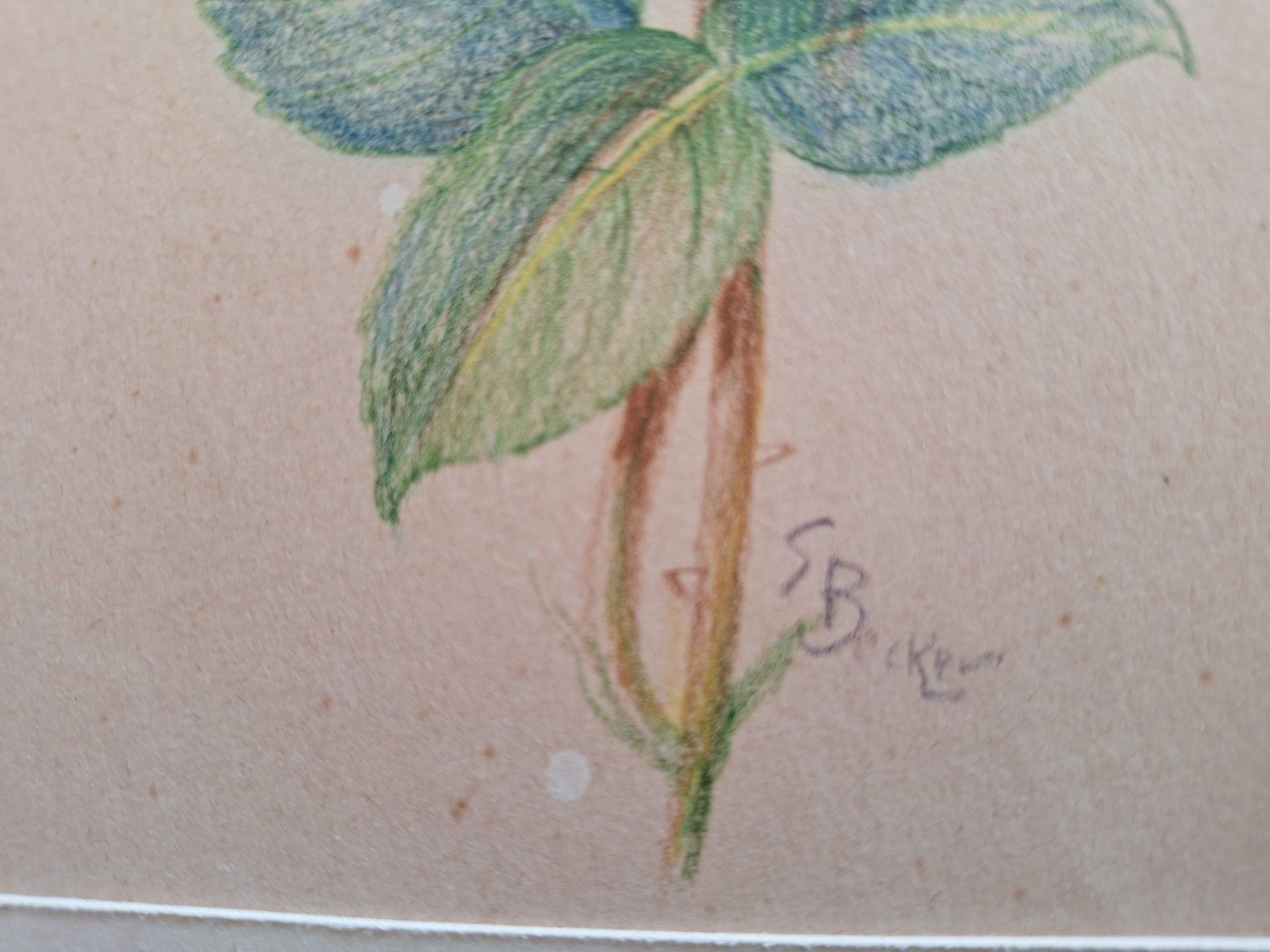 Gemälde: E. Becker ROSES – Gebraucht aus Bevaix von bohrap 3