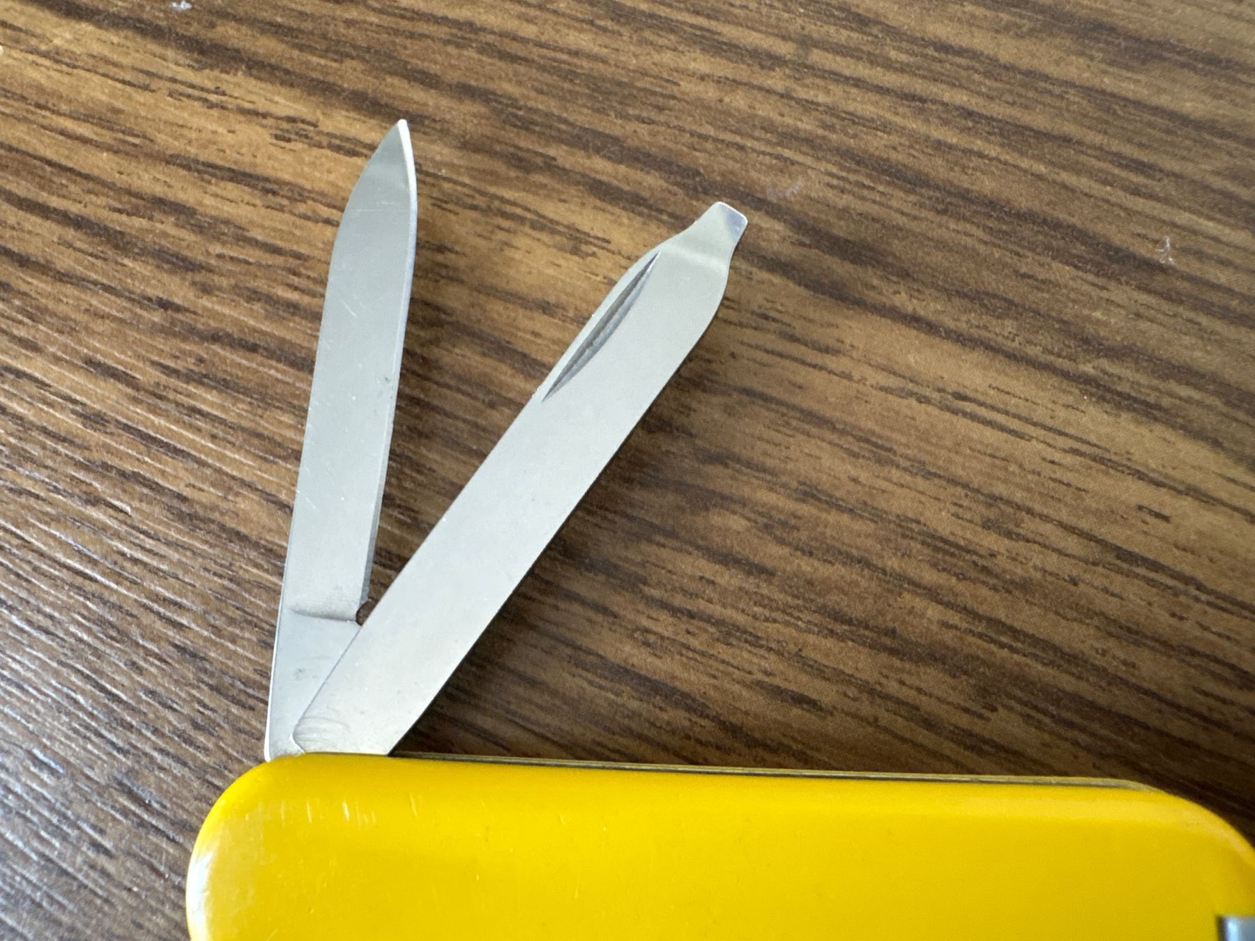 Victorinox Coltelli tascabile: VICTORINOX - Classic yellow - Sackmesser – Usato da Andwil SG venduto da Rainboli 4