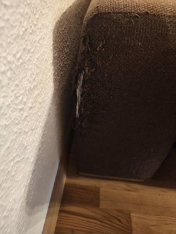 Sofas: Grosses bequemes Sofa GRATIS – Gebraucht aus Münchenstein von CoraJ 2