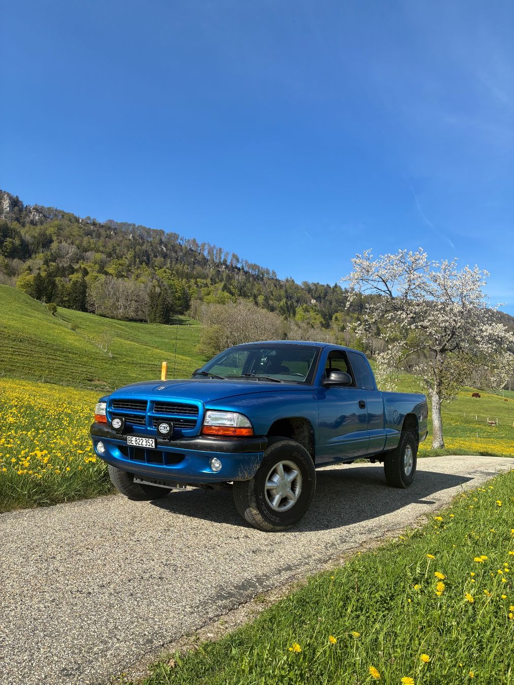 Dodge Autos: Dodge dakota 3.9l – D'occasion à Farnern par sof_s5nc