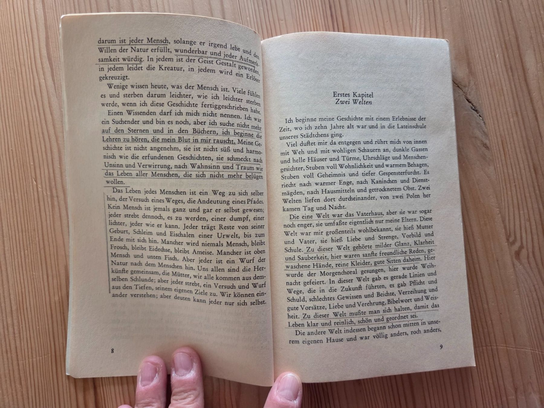 Libri: Damian, Hermann Hesse – Usato da Liestal venduto da ITOlio 3