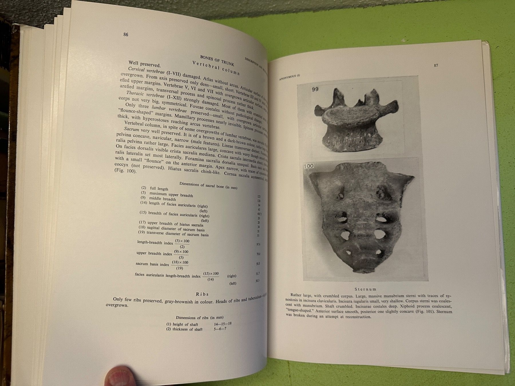 Libri: Tadeusz Dzierzykray-Rogalski: Faras VIII. – Usato da Zürich venduto da allp 7
