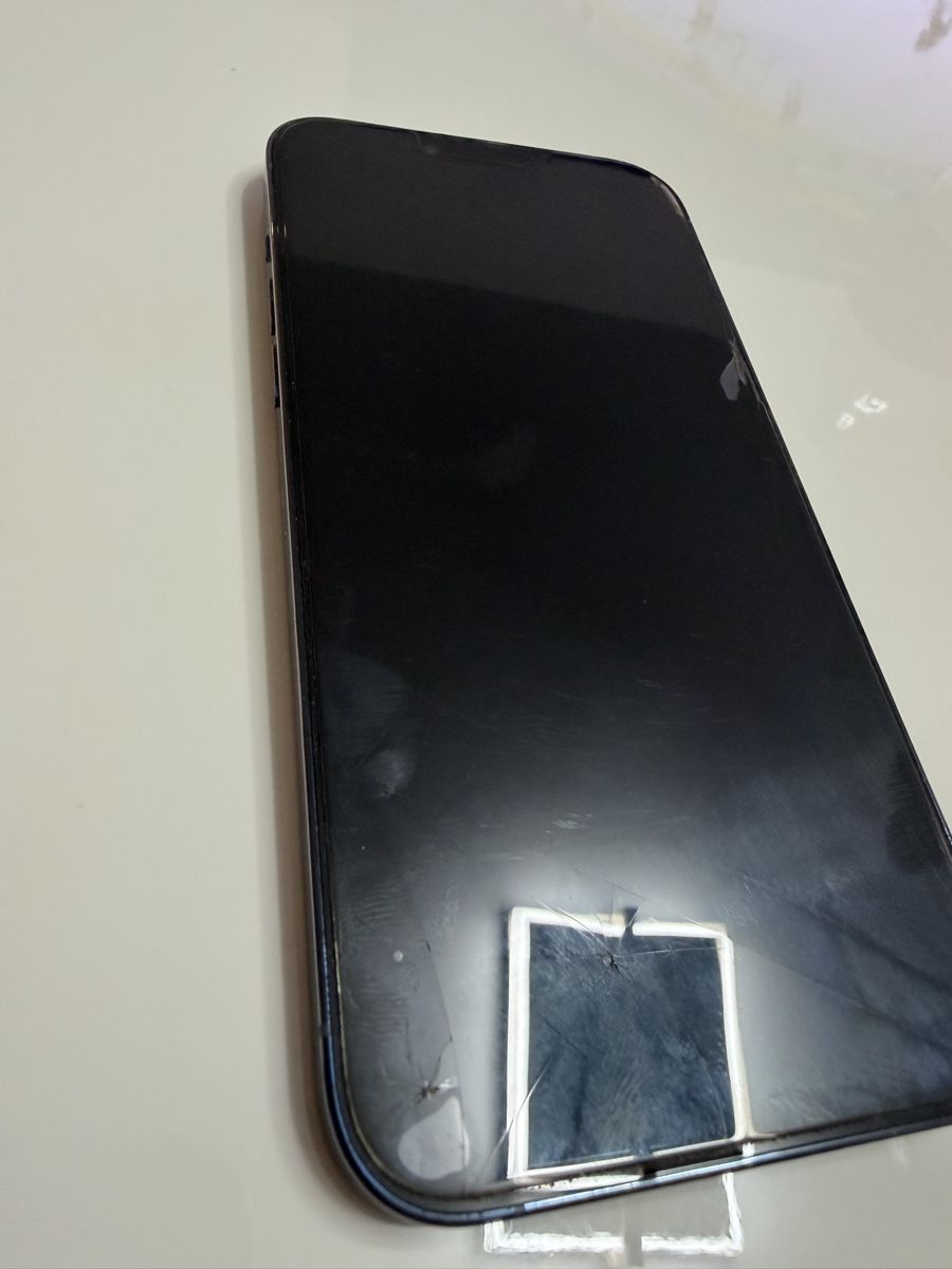 Apple Telefoni cellulari / Smartphones: Iphone 13 Pro max 256 GB – Usato da Thun venduto da Elwoodblues 2