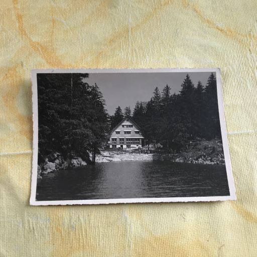 Ak Gasthaus Forelle Am Seealpsee Kaufen Auf Ricardo