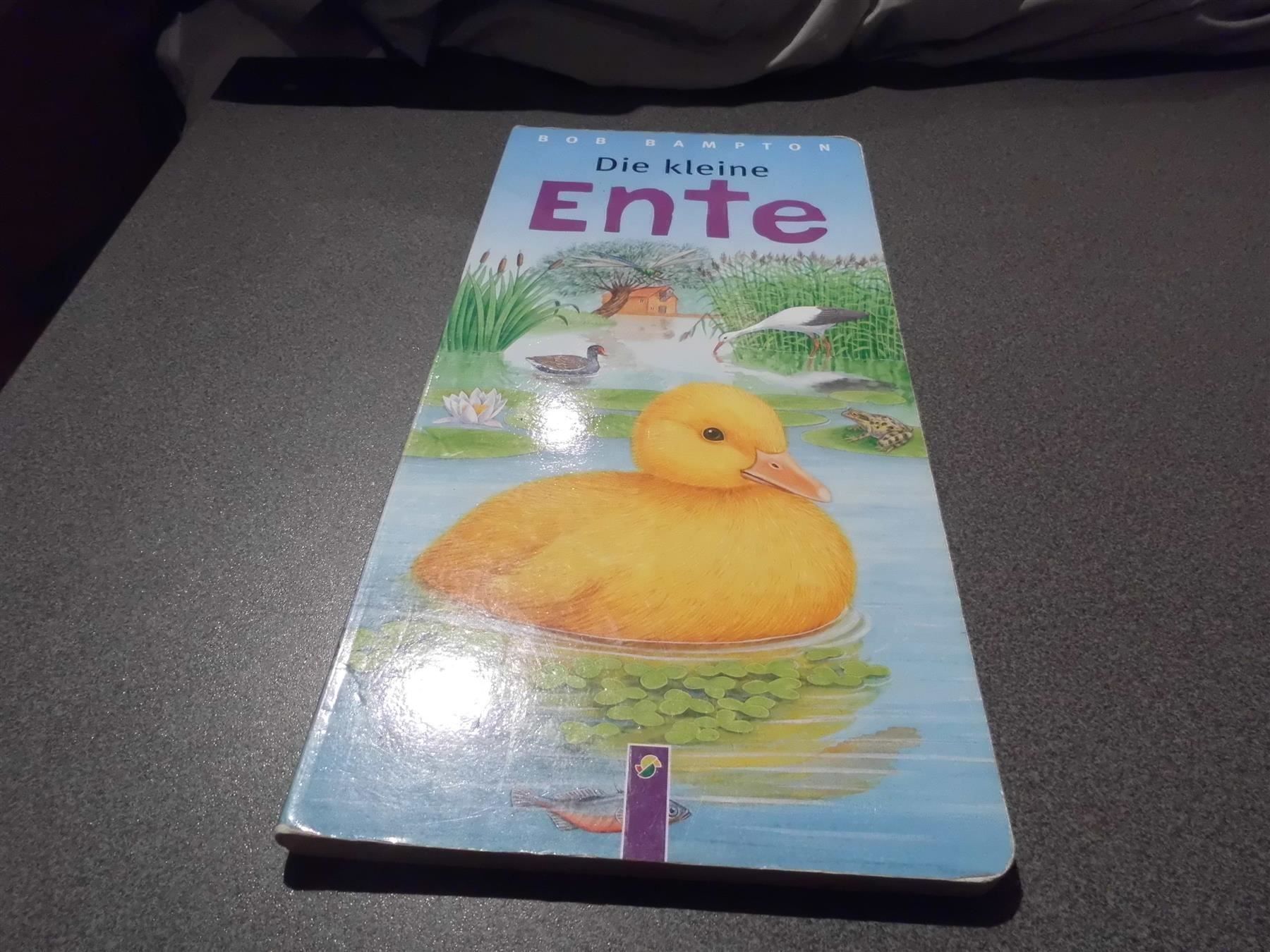 Libri: Die kleine Ente – Usato da Zürich venduto da abraxas1291