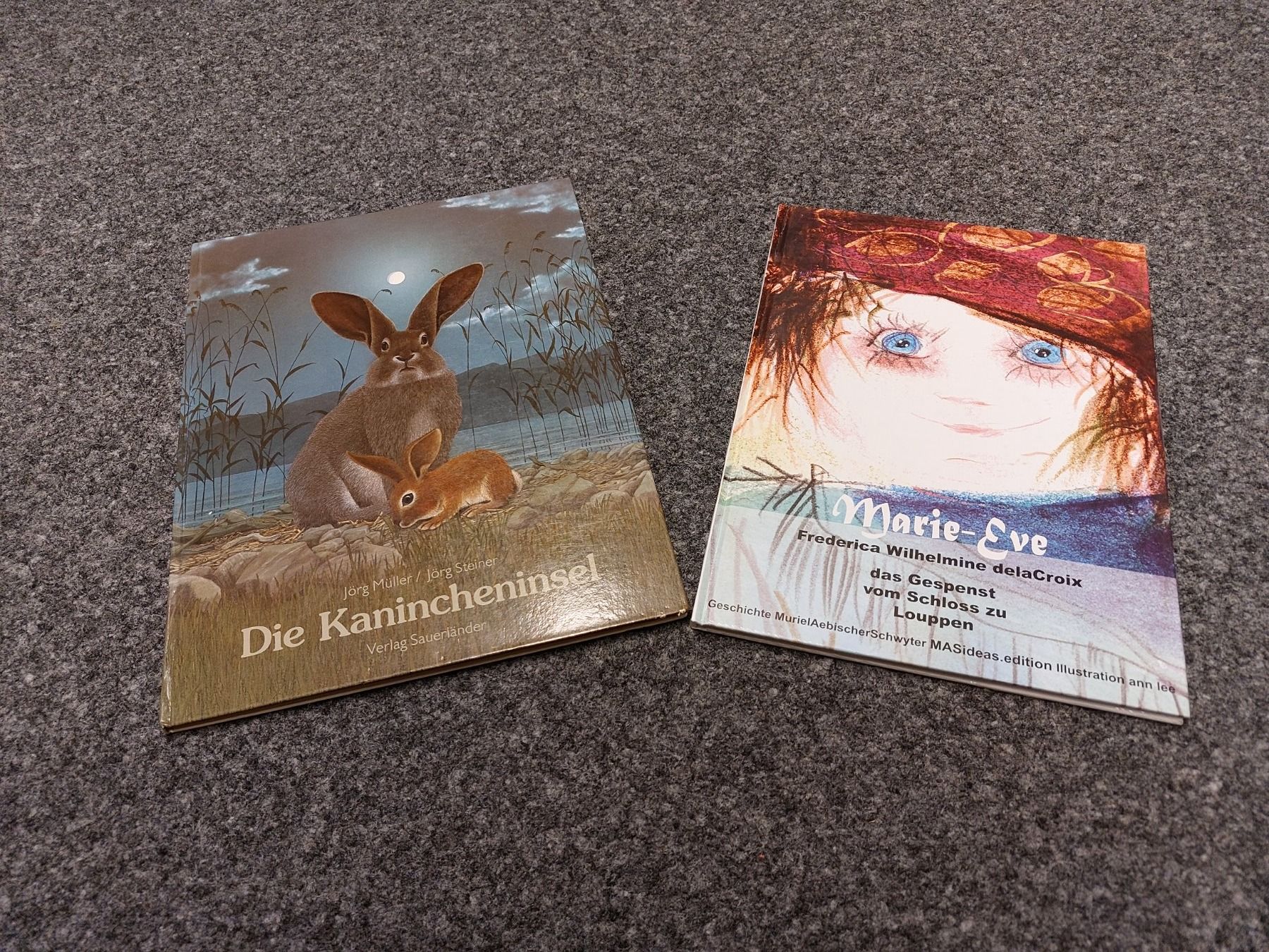Libri: 2 Kinderbücher – Usato da Schmitten venduto da Renistern68
