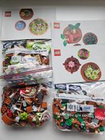 Lego 10329 Plantes miniatures "Cactus"