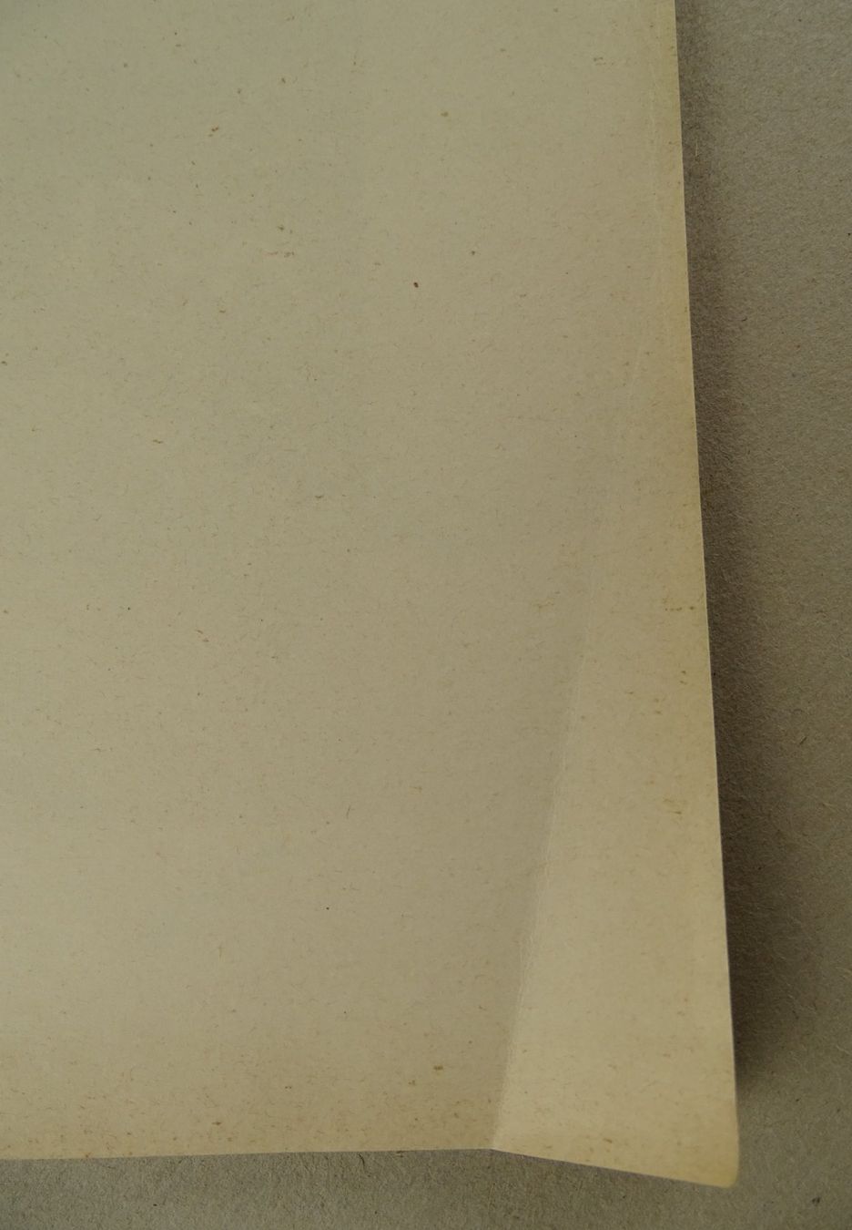 Incisioni: PANORAMA VOM CAMOGHE, LITHOGRAPHIE 1905 – Usato da Grüningen venduto da Kartensammler 5