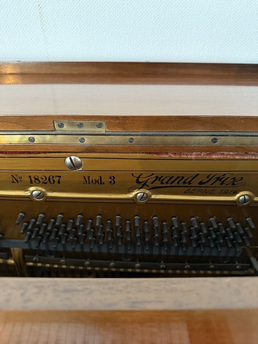 Schmidt-Flohr Strumenti musicali: Klavier Schmidt-Flohr – Usato da Zürich venduto da maurice1212 8
