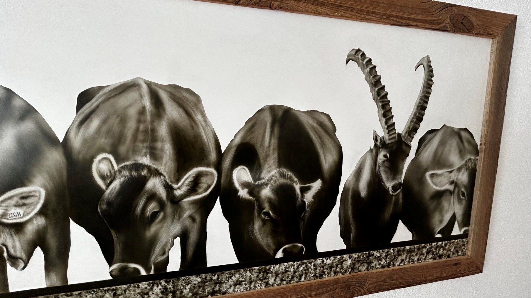 Foto & Immagini: Kühe mit Steinbock Airbrushbild mit Altholzrahmen – Nuovo (secondo la descrizione) da Fläsch venduto da Dergrenzer 1