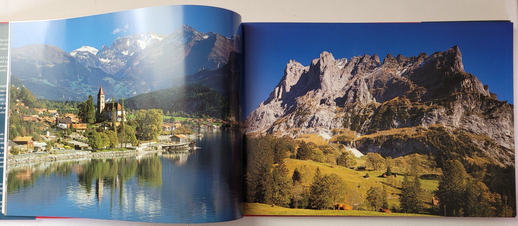 Libri: SWITZERLAND – Usato da Neftenbach venduto da Mador6 1