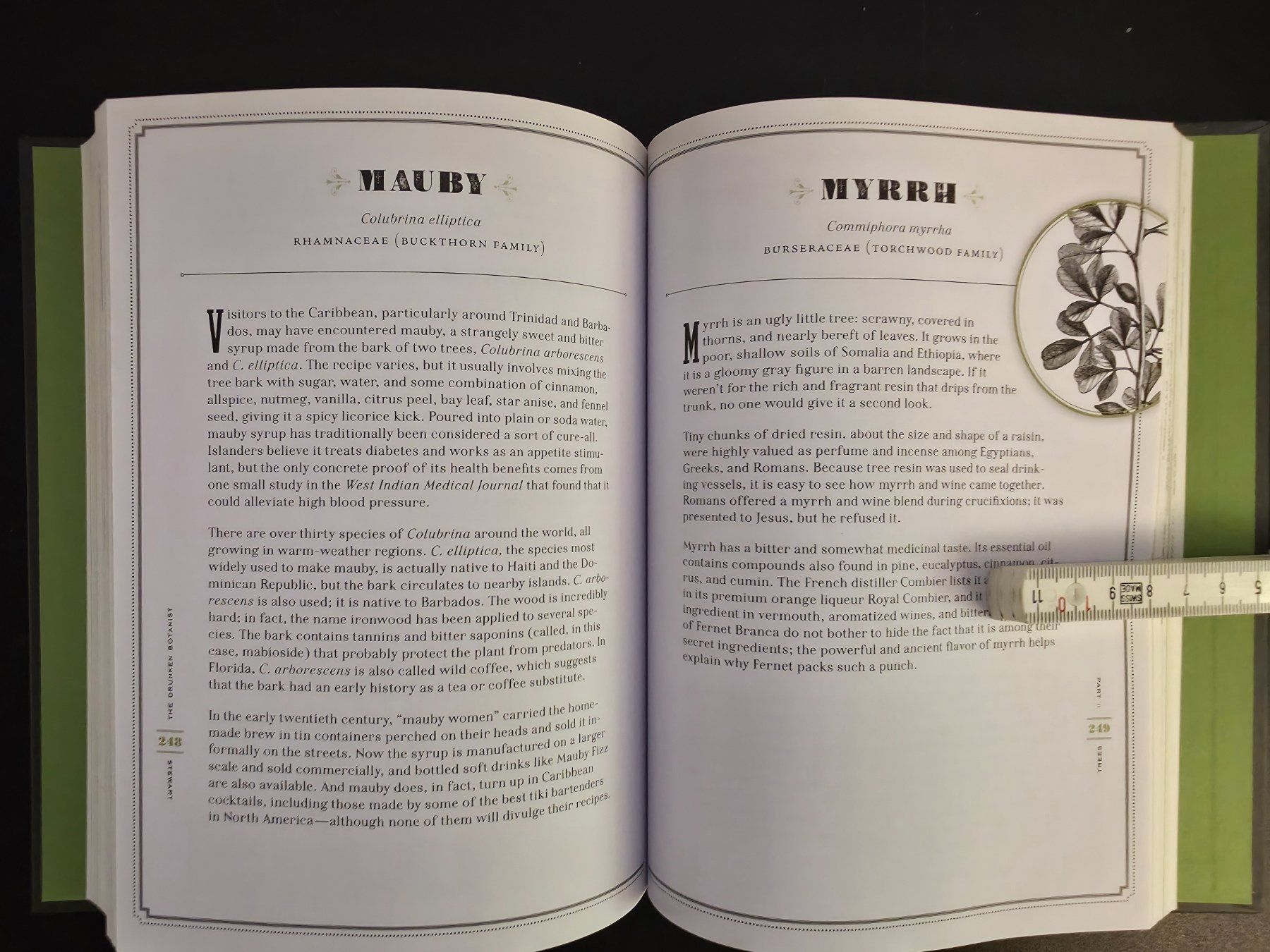 Libri: The Drunken Botanist The Plants That Create the World's Grea – Nuovo (secondo la descrizione) da Montreux venduto da Edelweissgirl_64 9