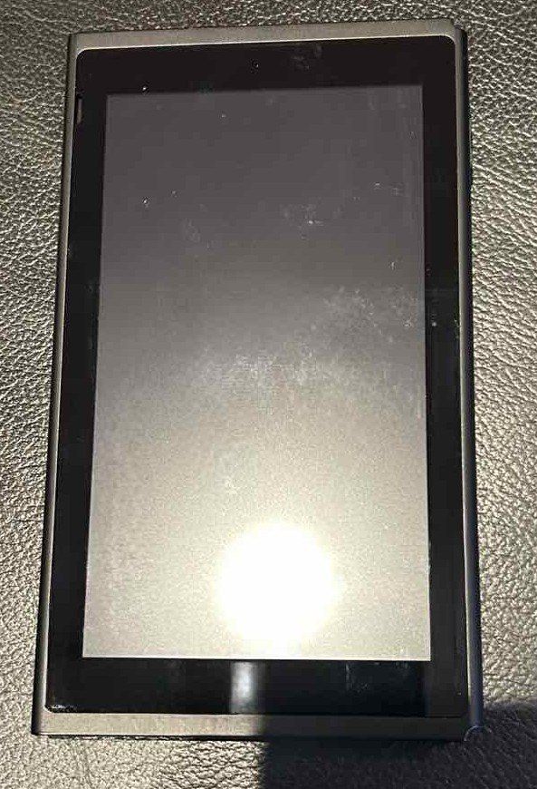 Nintendo Console: Nintendo Switch Tablet (V2) – Usato da Jegenstorf venduto da malartv 2