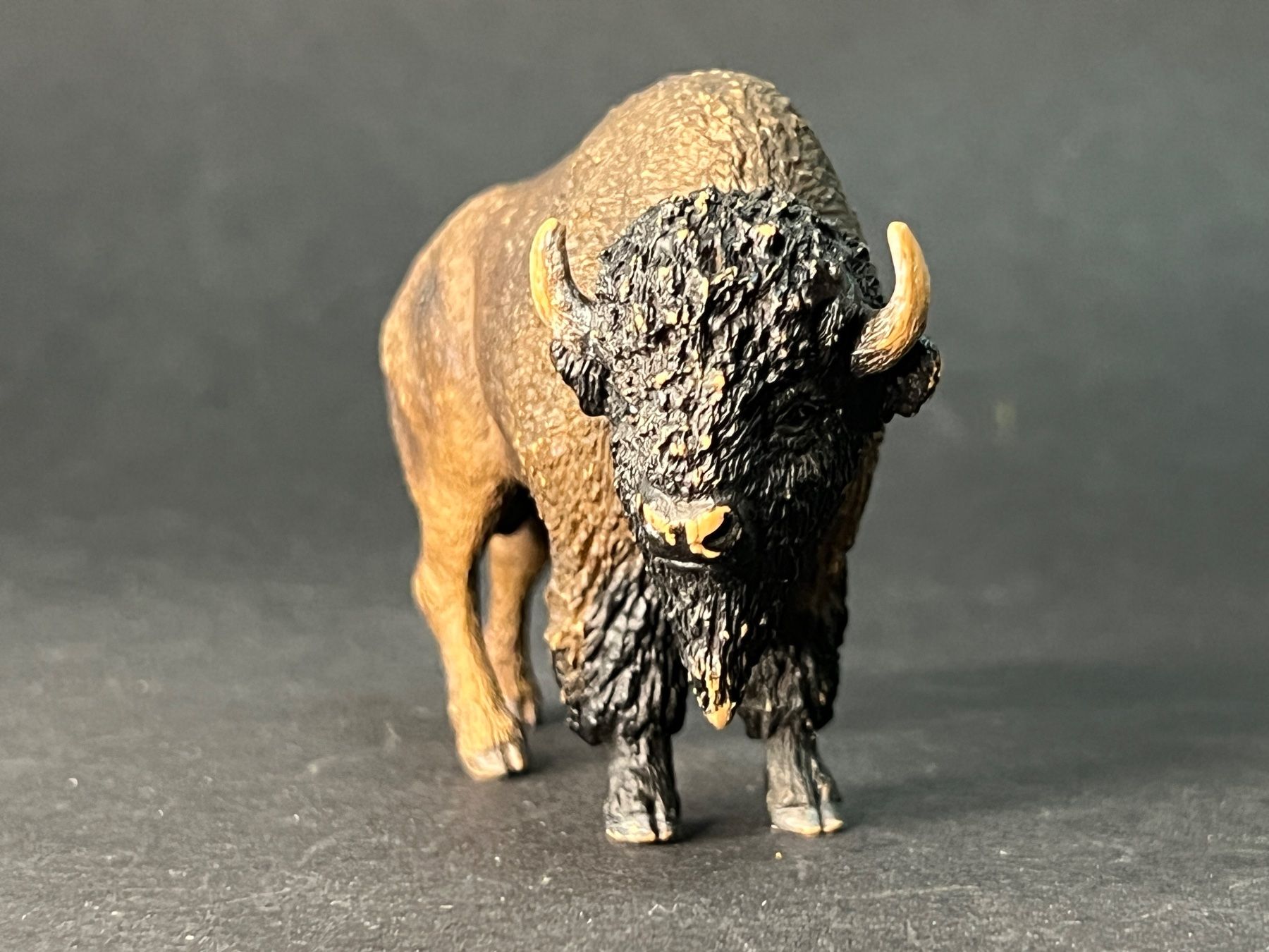 Schleich Statuette: Schleich 14714 Bison – Usato da Ennetbaden venduto da mapa05 5