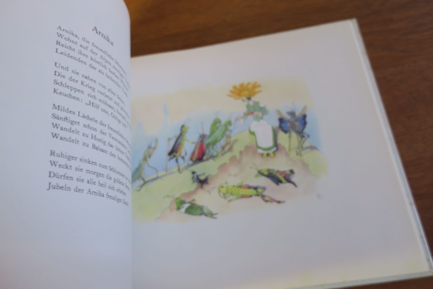 Libri: Ernst Kreidolf / ALPENBLUMENMÄRCHEN – Usato da Langenthal venduto da Riccardamax 6