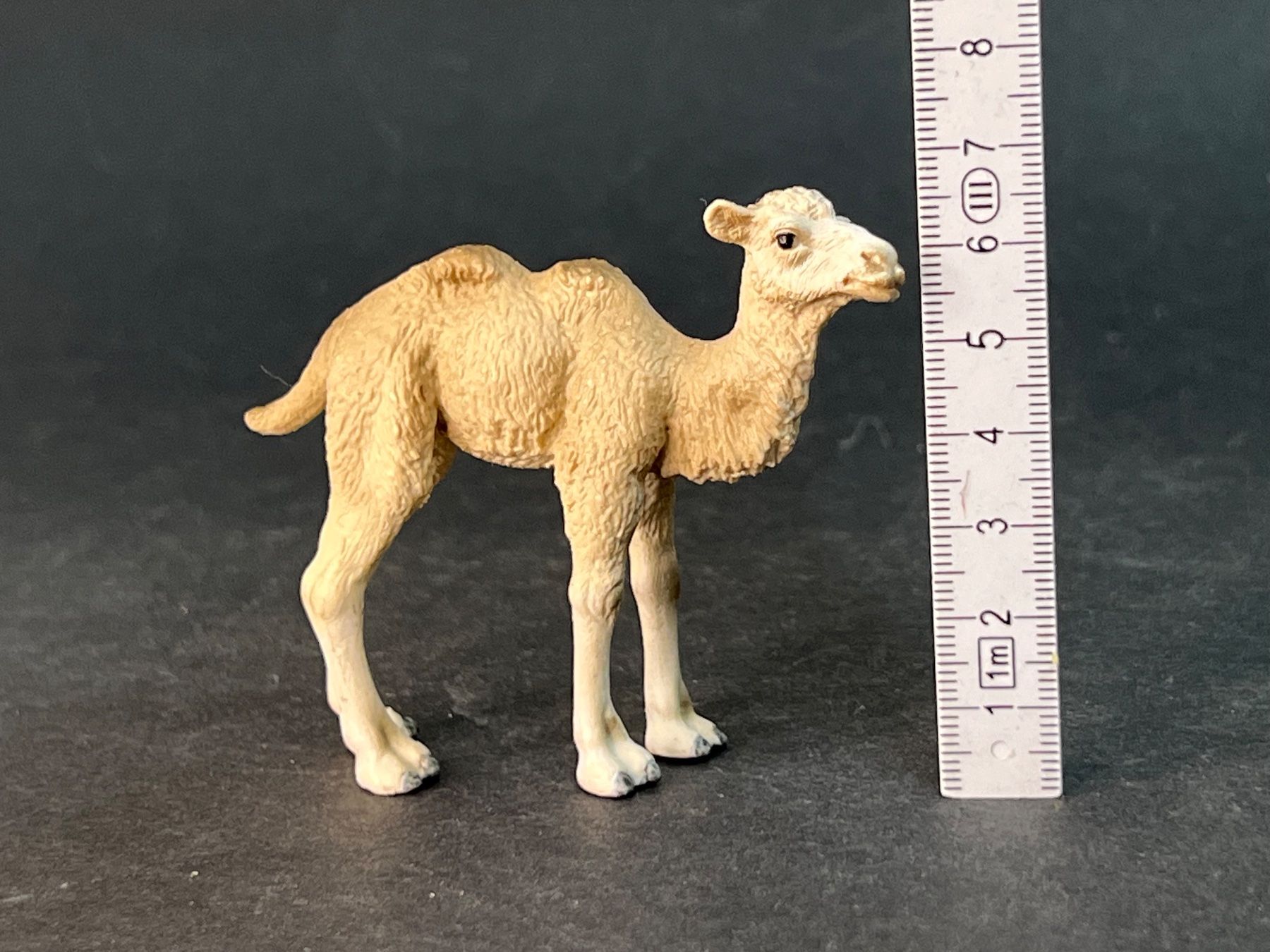 Schleich Statuette: Schleich 14602 Trampeltier Fohlen Kamel – Usato da Ennetbaden venduto da mapa05 2