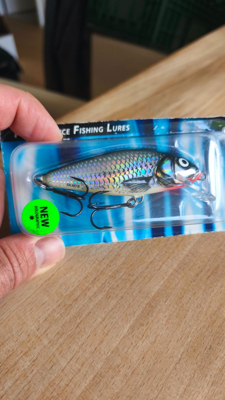 Köder: Salmo Perch 8F – Neu und originalverpackt aus Sarnen von sebalant