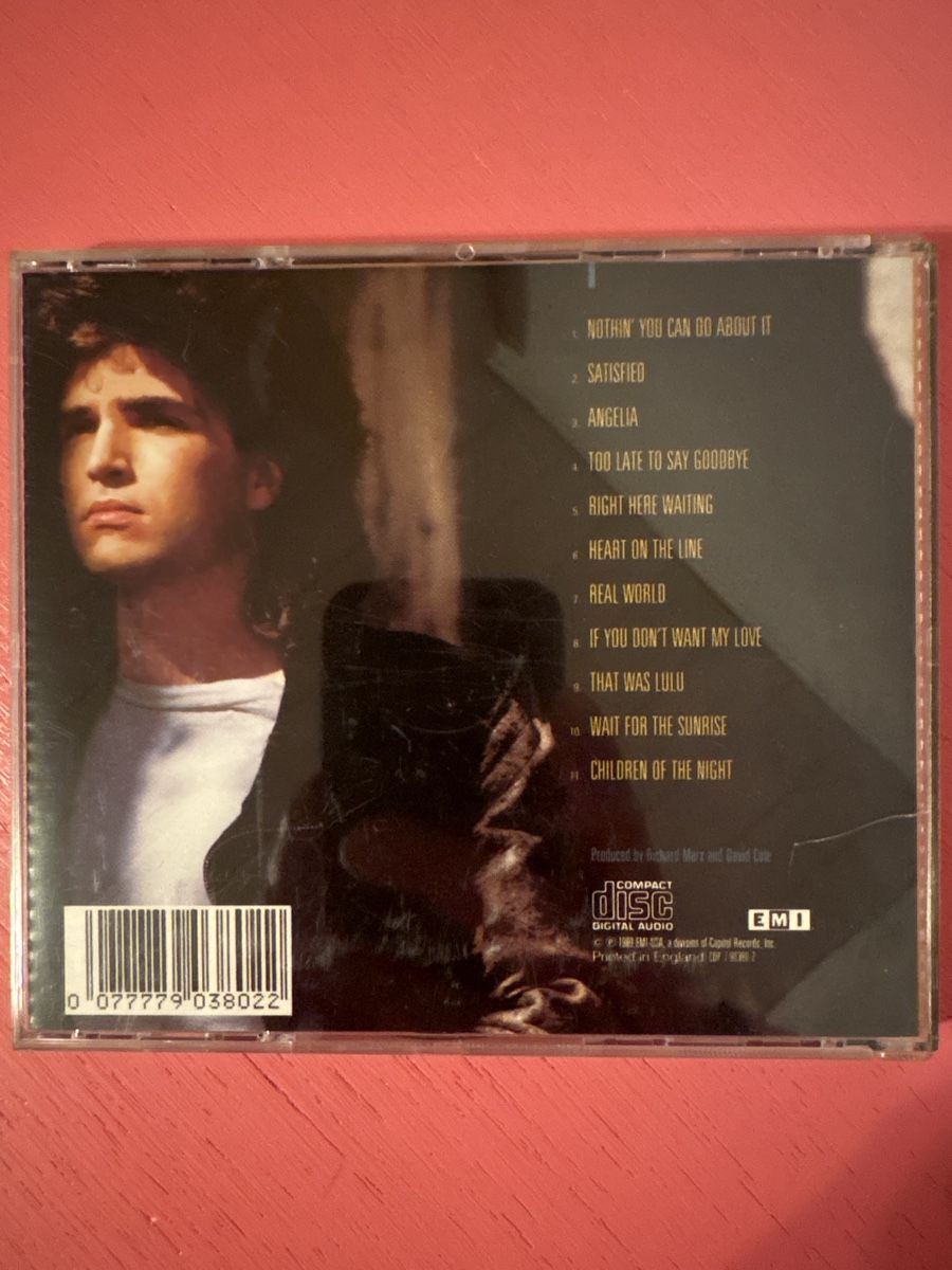 CD: Richard Marx - Repeat Offender – Usato da Lützelflüh-Goldbach venduto da Deiv4 1