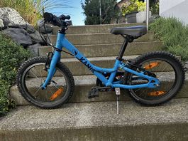 Kinderbelo 16" Kania