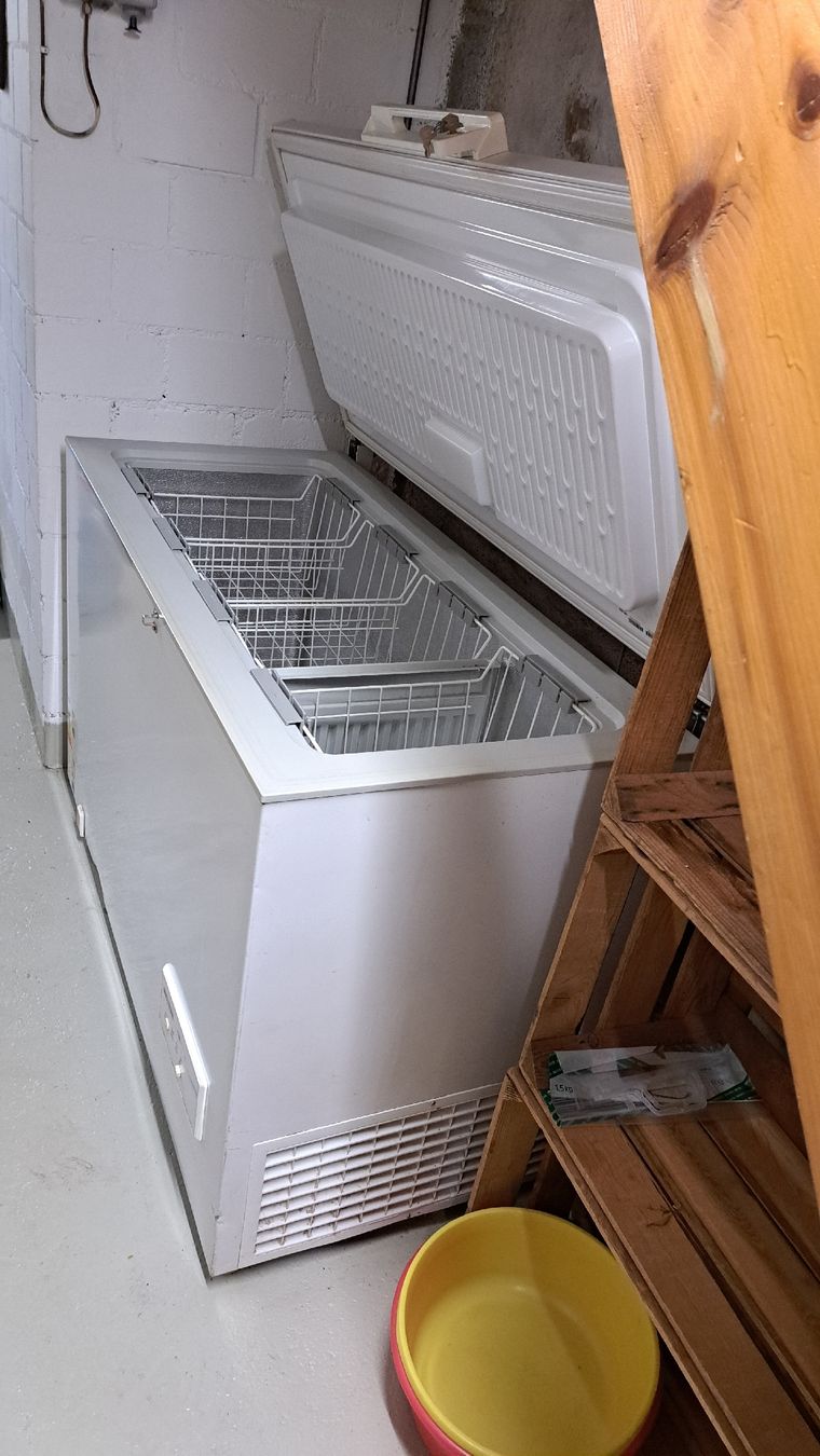 Congelatori: Tiefkühltruhe – Usato da Sulgen venduto da Alexander250 1