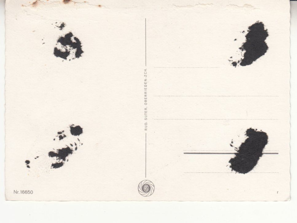 Cartoline postali: Wallis ca. 1970 – Nuovo (secondo la descrizione) da Bürglen TG venduto da StampGraf 1