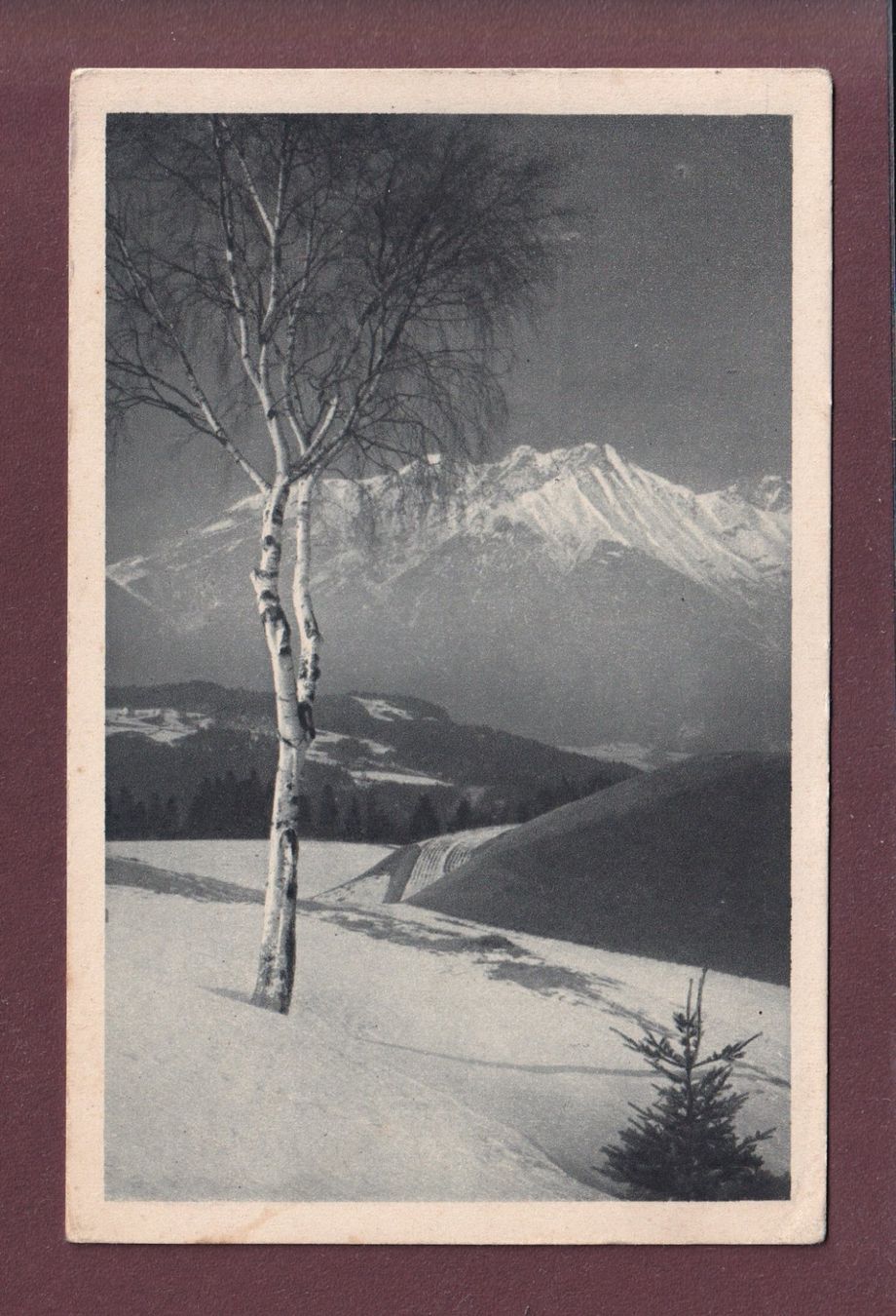 Cartes postales: ELCHLEPP - Winter - 1921 – D'occasion à Pully par nicecards