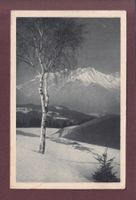 ELCHLEPP - Winter - 1921