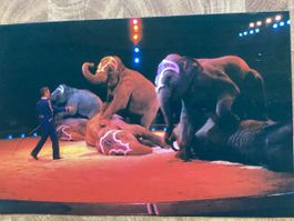 Circus Knie Foto 1997