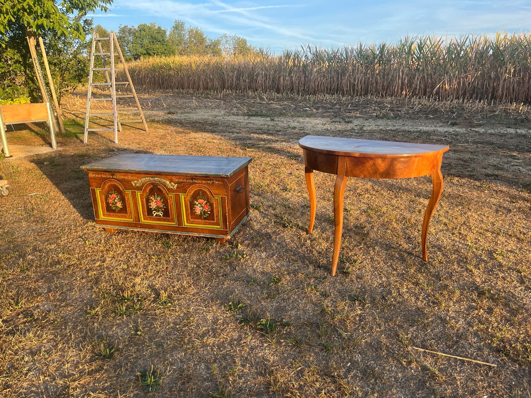 Cassapanche: Holztruhe  + Wand Tisch – Usato da Allmendingen b. BE venduto da juair 6
