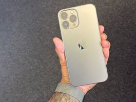 IPhone 13 Pro Max - sehr gutem Zustand - Akku 81% - 256 GB
