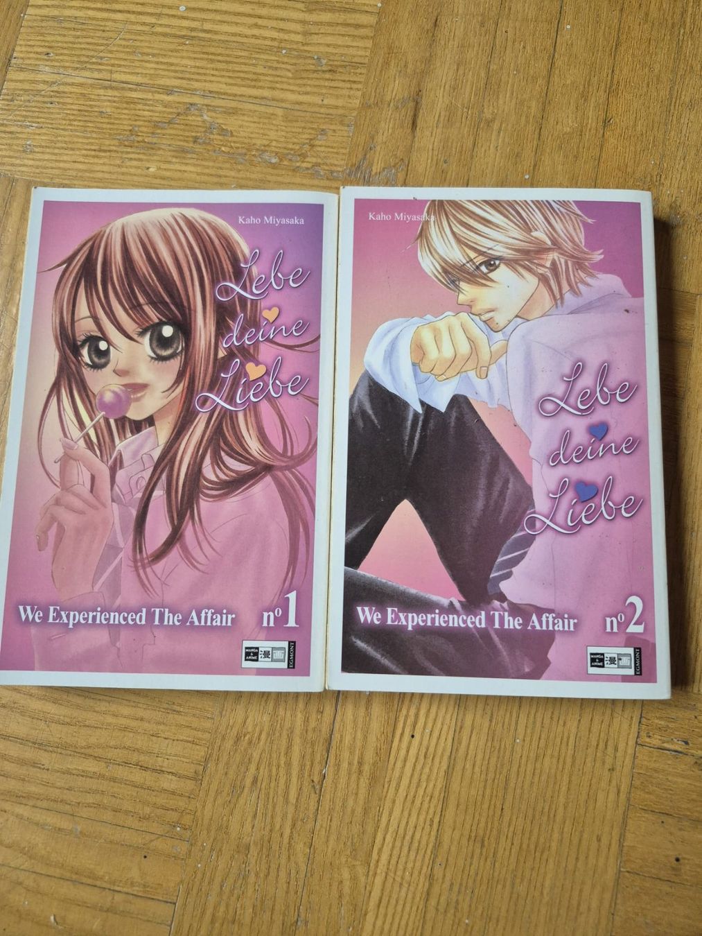 Comics: We experienced the affair – Gebraucht aus Biel/Bienne von ava_77d5