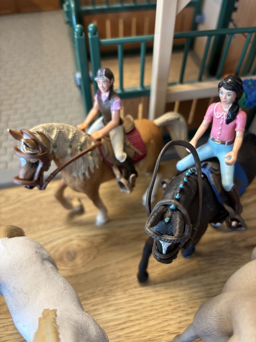 Schleich Spielzeuge: Schleich Pferdestall mit Zubehör  – Gebraucht aus Noflen BE von ManuelaMiro 7