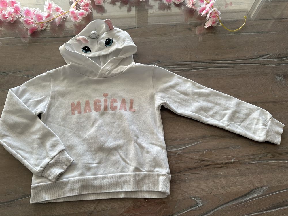 HIKIDS Mädchen Sweatshirt Langarm Mit Einhorn Print | Weicher Kapuzenpullover Für Kinder | Größen 1-8 Jahre