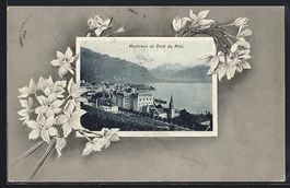 Montreux, Vue générale et Dent du Midi