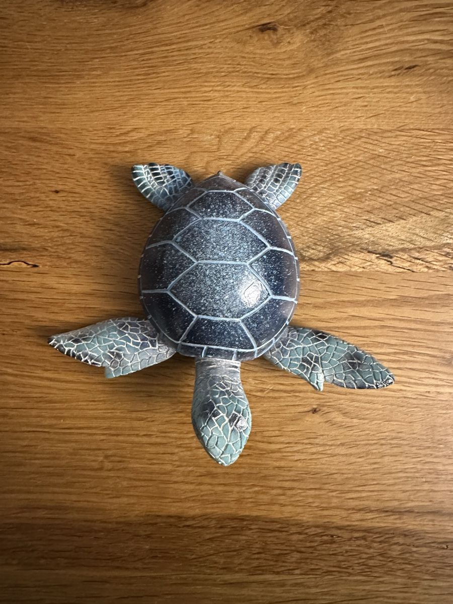 Alle Dekorationen: Dekoration Schildkröte – Gebraucht aus Winterthur von ani_6p9f 1
