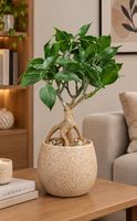 Künstlicher Ficus Bonsai 33 cm – Dekopflanze im Topf