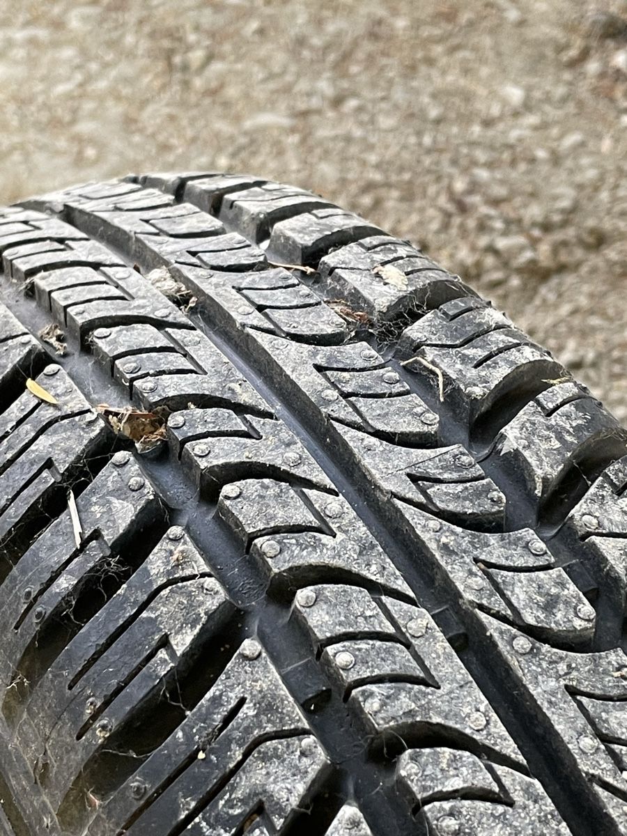 Rimorchi: Hafentrailer – Usato da Bôle venduto da Tom95 7