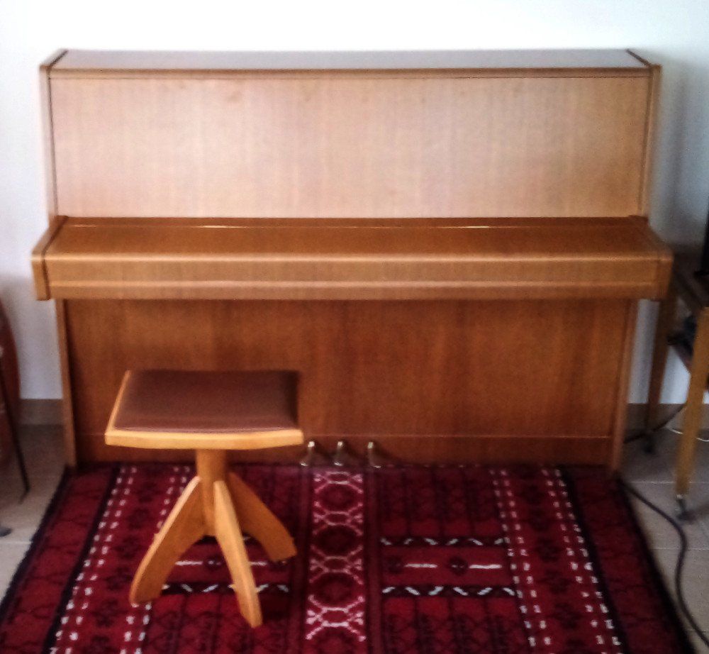 Strumenti musicali: Klavier Marke Petrof – Usato da Meggen venduto da Eisscholle 2