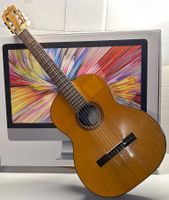 Akustische Gitarre, Marke MEAZZI