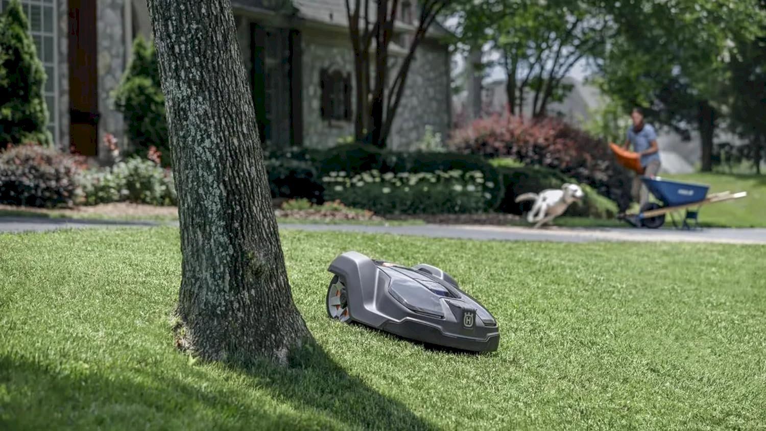 Tagliaerba: Husqvarna Automower 430X Mähroboter – Nuovo e nell'imballaggio originale da Bottighofen venduto da zaap 3