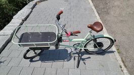 Schnelles E-Lastenrad, Unikat