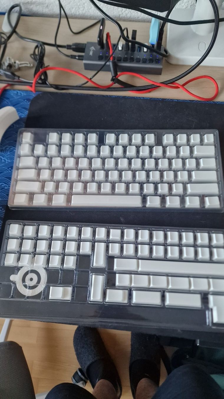 Tastiere: New white blanc Keycaps – Nuovo (secondo la descrizione) da Nyon venduto da PMargarido