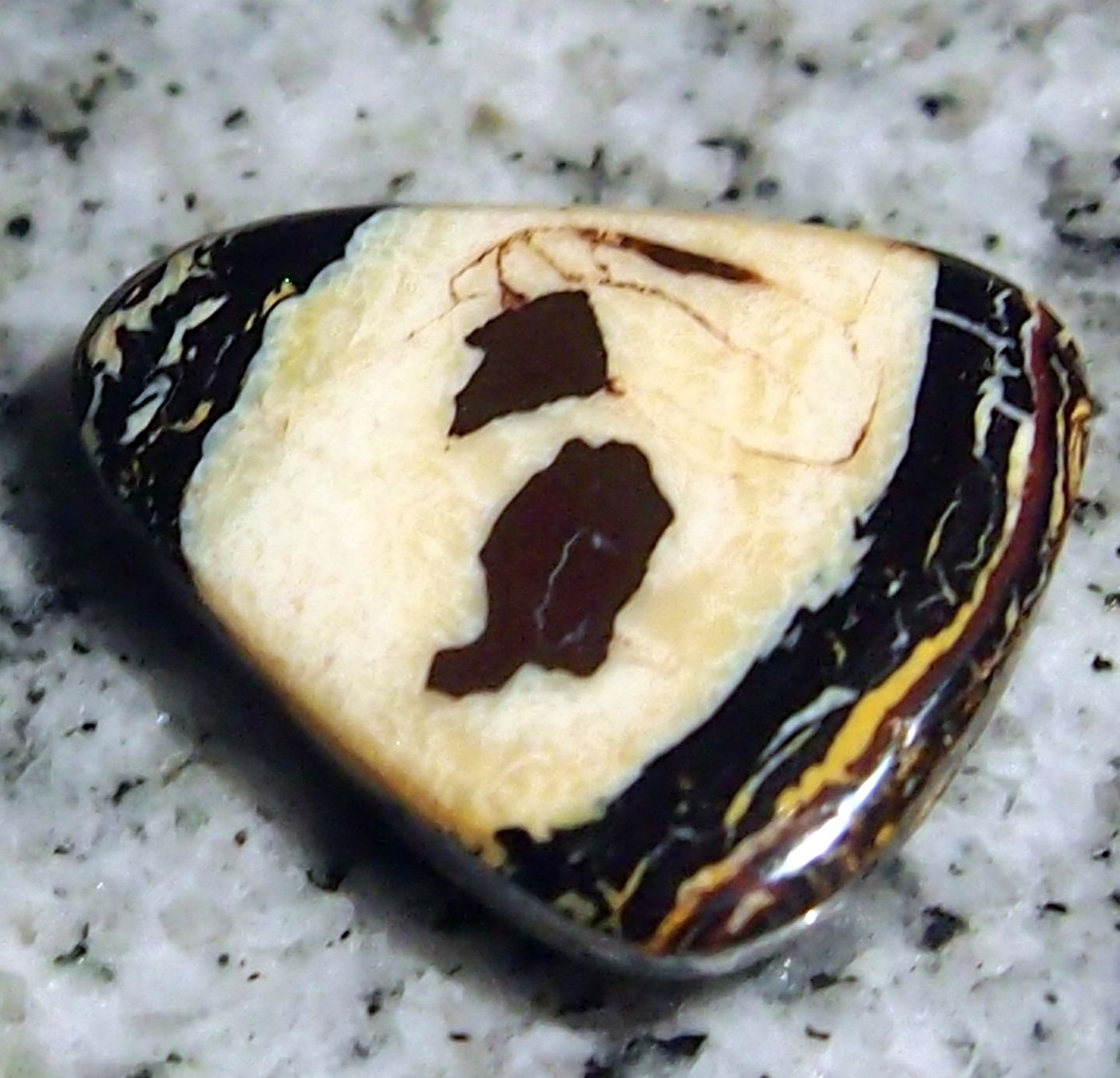 Pietre preziose: 27 CRT. KOROIT OPAL, schönste Muster! AAA – Nuovo e nell'imballaggio originale da Reinach BL venduto da Marcopal 1