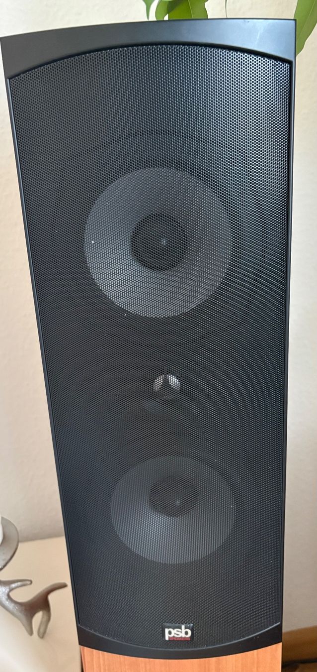Psb Casse acustiche: PSB Speaker Paar – Usato da Basel venduto da Svenglas90 1